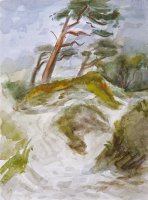 Sandra Rienäcker: Dünenkiefern, Aquarell, 2009